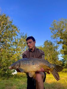 Mirror Carp