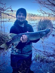 Northern Pike