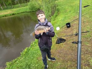 Mirror Carp