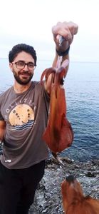 European Squid