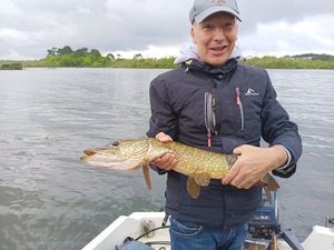 Northern Pike