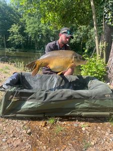 Mirror Carp