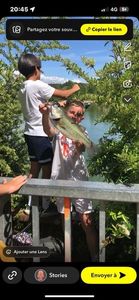 Largemouth Bass