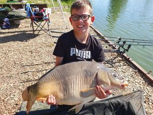 Mirror Carp