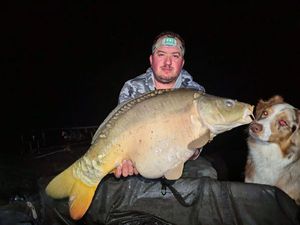 Mirror Carp