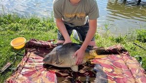Common Carp