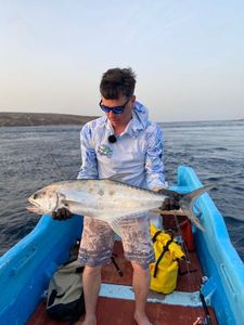 Talang Queenfish