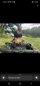 Mirror Carp