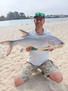 Giant African Threadfin