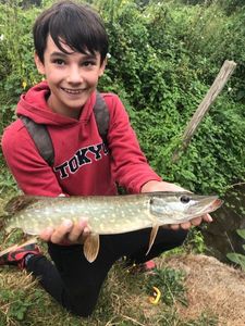 Northern Pike