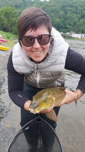 Barbel