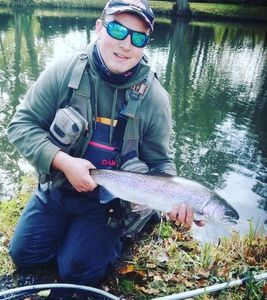 Rainbow Trout