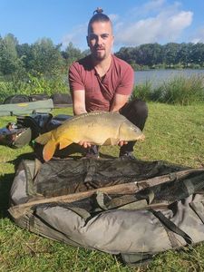 Mirror Carp