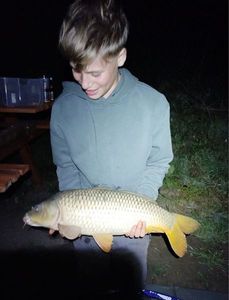 Common Carp