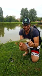 Largemouth Bass
