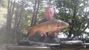 Mirror Carp