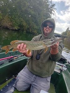 Northern Pike