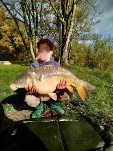 Mirror Carp