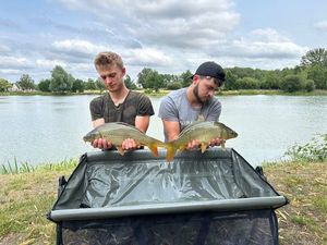 Common Carp