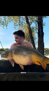 Leather Carp