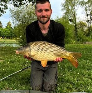 Common Carp
