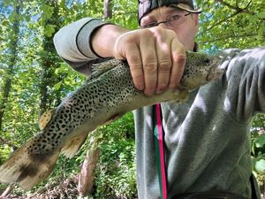 Cutthroat Trout