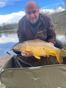 Mirror Carp