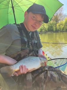 Common Carp