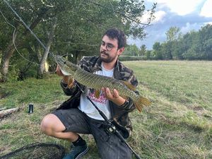 Northern Pike