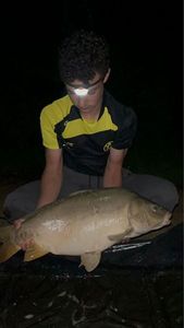 Leather Carp
