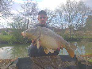 Mirror Carp
