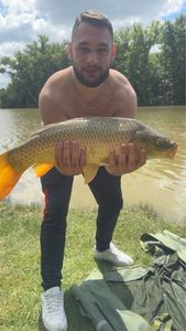 Common Carp