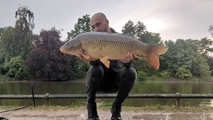 Common Carp