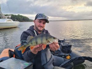 European Perch