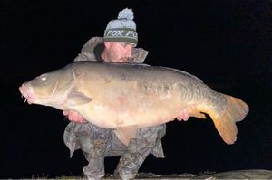 Mirror Carp