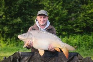Mirror Carp