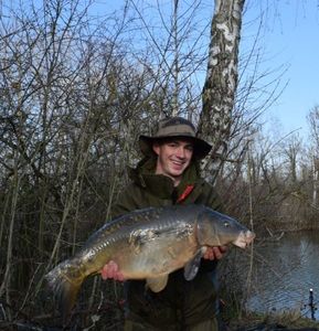 Mirror Carp