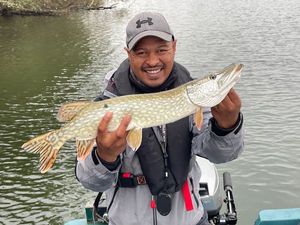 Northern Pike