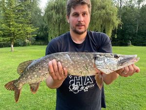 Northern Pike