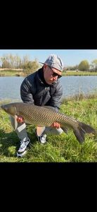 Grass Carp