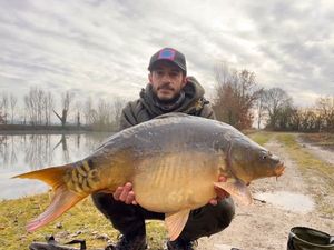 Mirror Carp