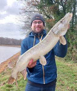 Northern Pike