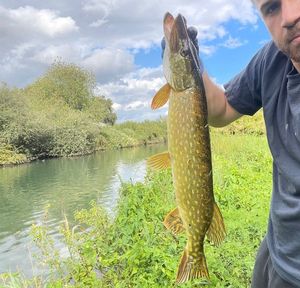 Northern Pike
