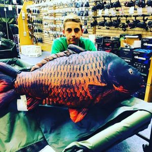 Common Carp