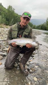Rainbow Trout