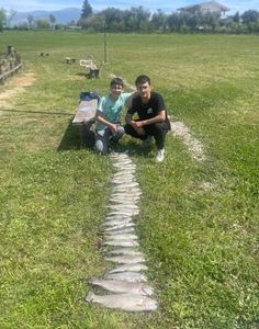 Rainbow Trout