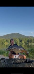 Mirror Carp