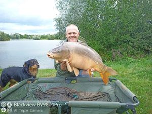 Mirror Carp