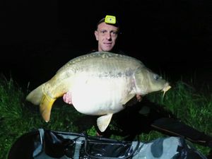 Mirror Carp