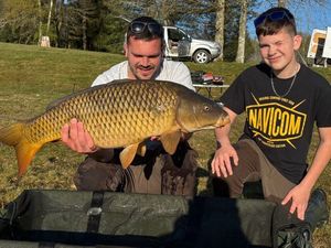 Common Carp